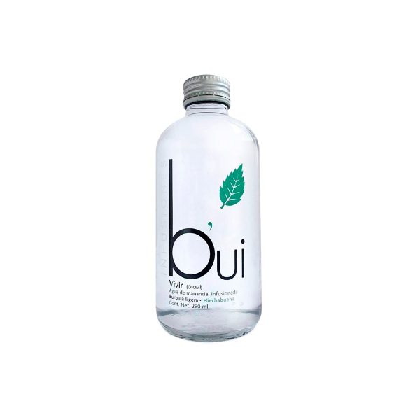 Agua Mineral Bui Hierbabuena Vidrio 290 ML Caja 24 Botellas