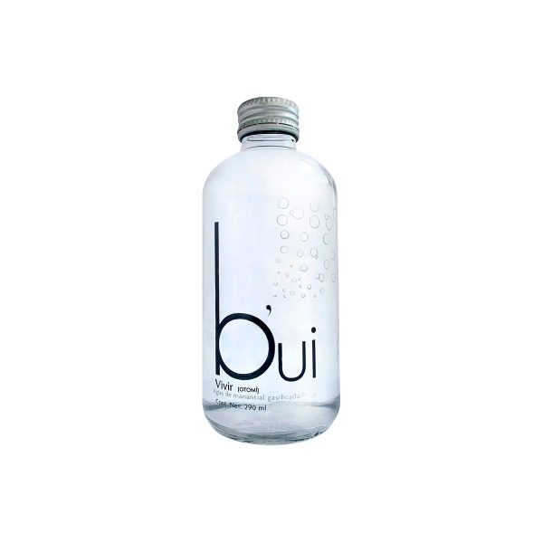 Agua Mineral Bui Con Gas Vidrio 290 ML Caja con 24 Botellas